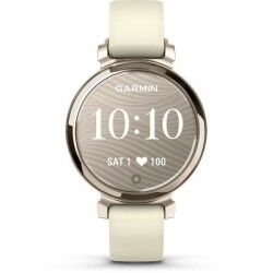 Orologio Uomo GARMIN 010-02839-00 Dorato