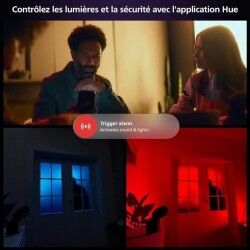 Telecamera di sorveglianza simulata Philips