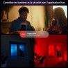 Telecamera di sorveglianza simulata Philips