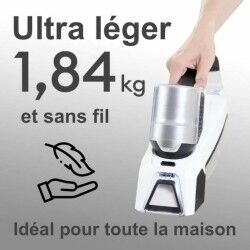 Aspirateur Manuel EZIclean SPOT REMOVER W100 60 W