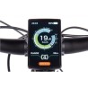 Vélo électrique VTT Vélo électrique VTT MTF Mount 29 pouces 720Wh 36V/20Ah Cadre 19'