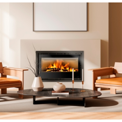 Ferlux Teide 100 panoramic 12.5 kW turboventilated wood burning insert