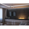 Infire 3L Insert 1200 Bioethanol Burner with 2 Glass Units