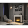 Infire Inportal1 Bioethanol Fireplace White with 1 Window