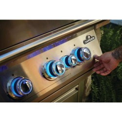 Barbecue gaz Napoleon Encastrable 700 Big 32 avec 4 brûleurs et 1 infrarouge arrière