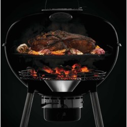 Napoleon charcoal grill PRO22