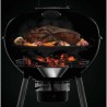 Napoleon charcoal grill PRO22