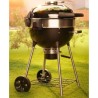 Napoleon charcoal grill PRO22