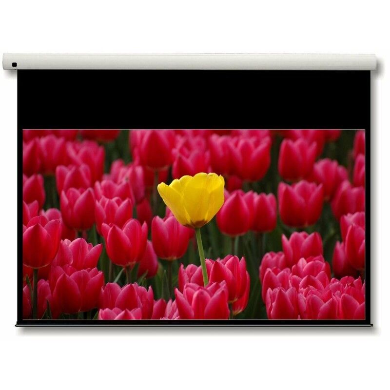 Écran de Projection pour Ordinateur Optoma DE-9092EGA 92" Écran de Projection pour Ordinateur Optoma DE-9092EGA 92"