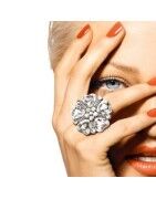 Aquecimento de óleo móvel profissional