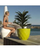 Pots et jardinières